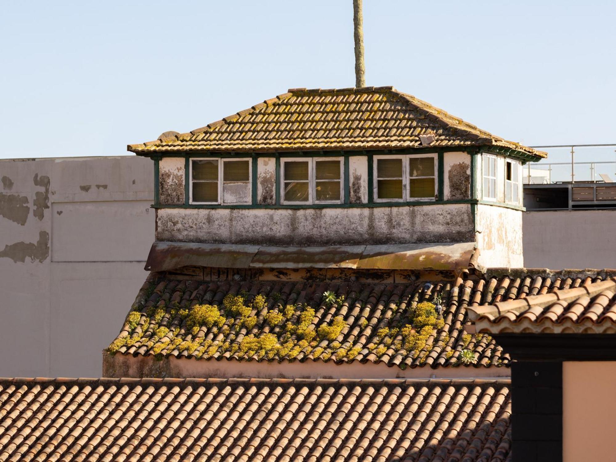 Live Laguna Center Holiday Home&Terrace La Laguna  Exterior foto